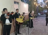 Maríachi en Zapopan