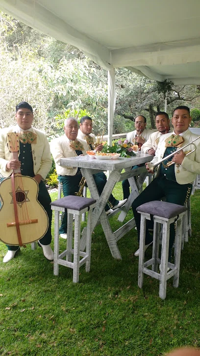 [Mariachis En La cdmx]